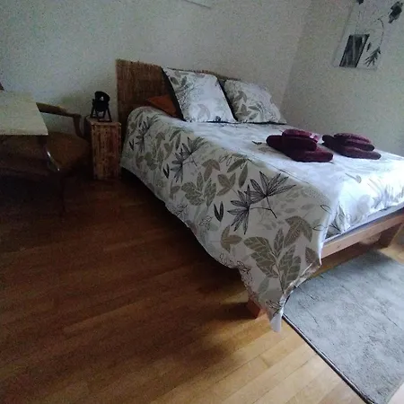 La Maison De Heidi Haselbourg
