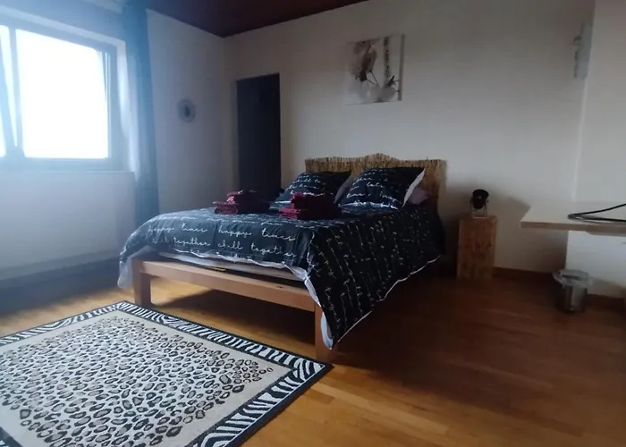 別荘 La Maison De Heidi Haselbourg